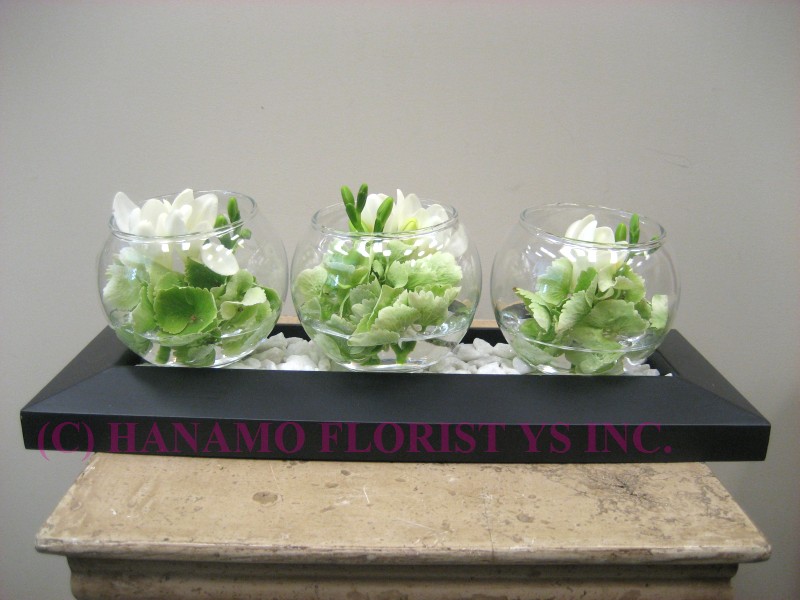 ZEN010 3pcs Zen our choice of seasonal white/green flowers